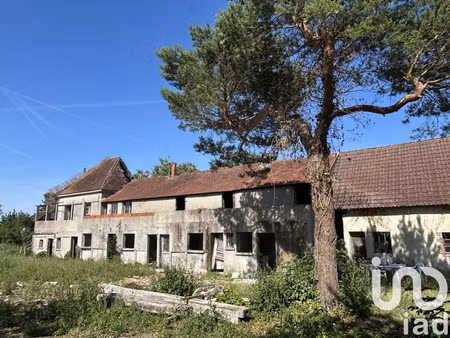 longère à ouzouer-sous-bellegarde (45270)