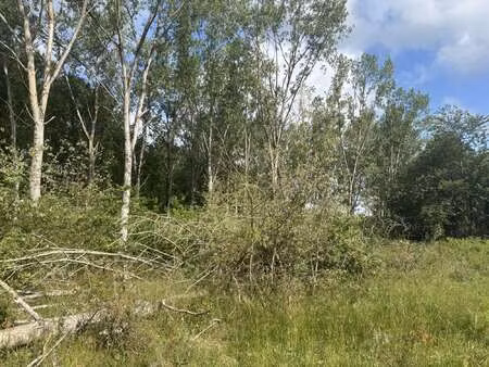 vente terrain à baugé (49150) : à vendre / 17009m² baugé