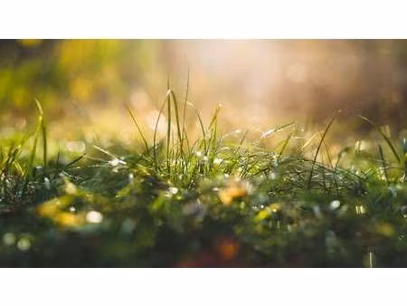 vente terrain à vigneux-de-bretagne (44360) : à vendre / vigneux-de-bretagne