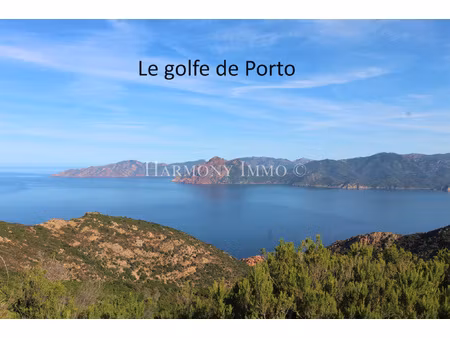 très jolie vue mer sur le golfe de porto