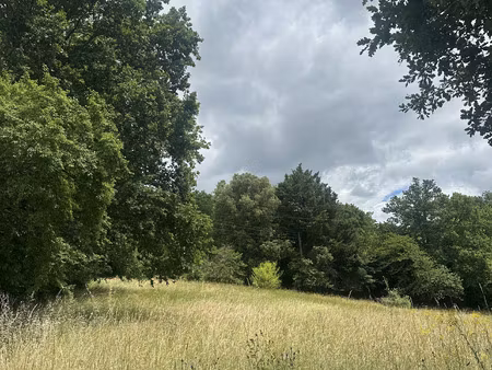 terrain - 3855 m²