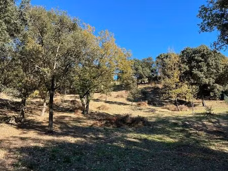 vente terrain 2000 m² puget (84360)