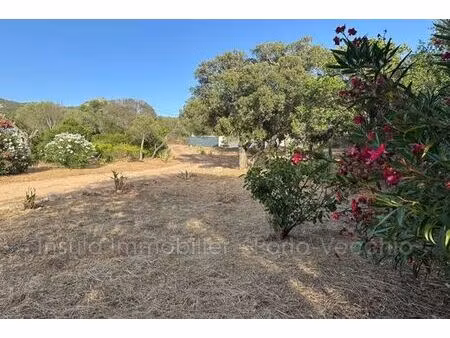 villa de 7 pièces de luxe en vente figari  france