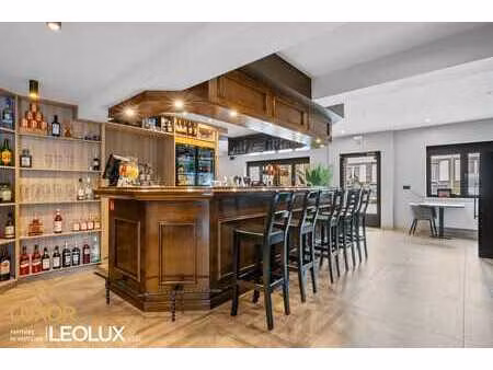 local commercial avec logement et salle de réception