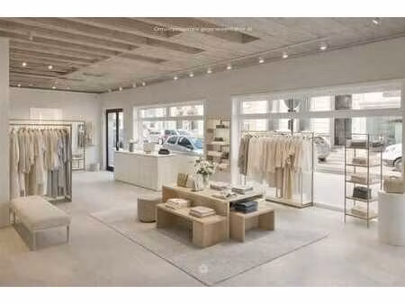 espace commercial polyvalent avec cave au centre de renaix
