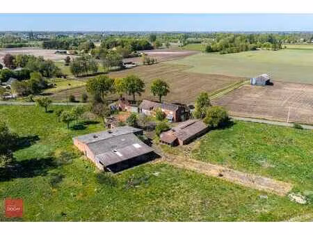 zeer rustig gelegen oude hoeve met bouwvergunning voor ni...