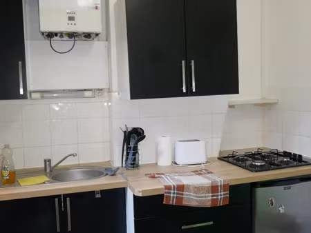 location appartement 2 pièces 42 m² à saint-étienne (42000)