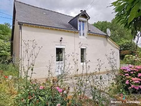 vente maison à saint-pierre-sur-orthe (53160) : à vendre / 59m² saint-pierre-sur-orthe