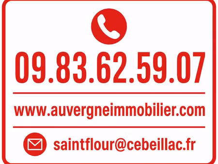 local commercial saint flour 4 pièce(s) 738 m2