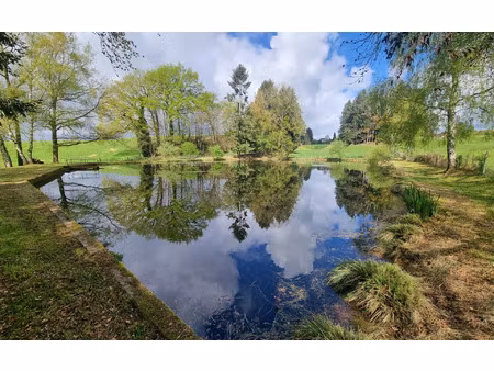 terrain saint-yrieix-la-perche m² t- à vendre  46 800 €