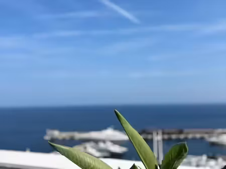 vente appartement 1 pièce à beausoleil (06240)  315 000 €