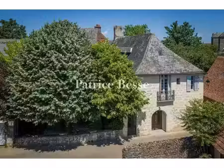 vente maison 11 pièces 450 m² à arnac-pompadour (19230)  455 000 €