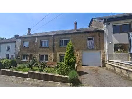 maison avec jardin et terrain