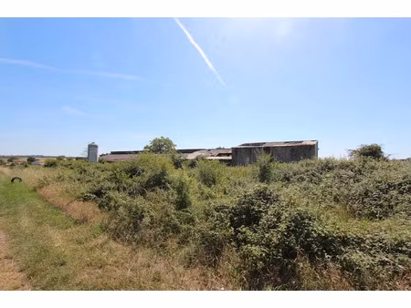 vente terrain 3694 m² à benet (85490)  26 000 €