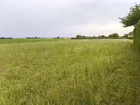 vente terrain 2500 m² à jarnac-champagne (17520)  24 000 €
