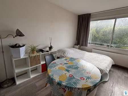 a vendre rouen droite préfecture / docks studio 25.1m² + parking