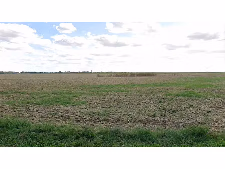 vente terrain 368 m² à boissy-la-rivière (91690)  55 000 €