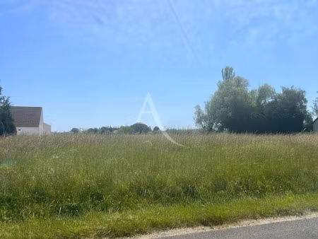 vente terrain 3850 m² à les montils (41120)  67 000 €