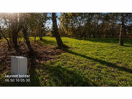 vente terrain 1000 m² à andernos-les-bains (33510)  465 000 €