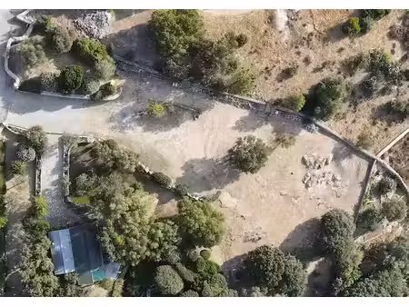 vente terrain à batir 1600 m² à calvi (20260)  590 000 €