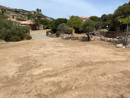 vente terrain à batir 968 m² à calvi (20260)  360 000 €