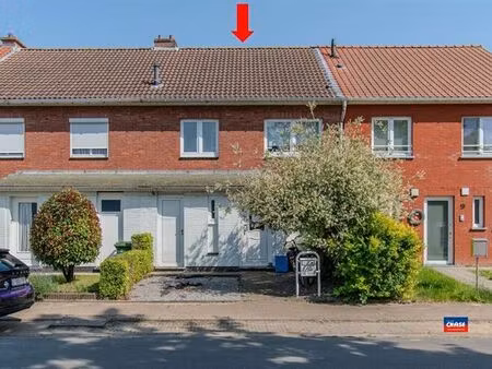 maison à vendre à schelle € 335.000 (loz7n) - chase vastgoed | zimmo