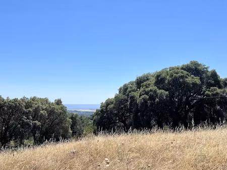 vente terrain 8630 m² à bastelicaccia (20129)  550 000 €