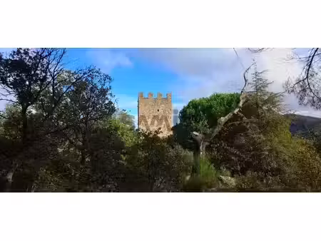 vente château 9 pièces 130 m² à soudorgues (30460)  330 000 €
