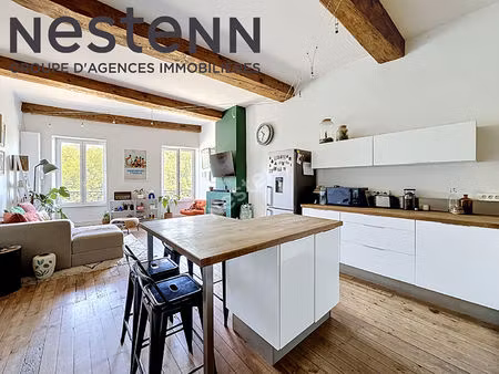 loft avec vue saône - ile barbe - idéal premier achat