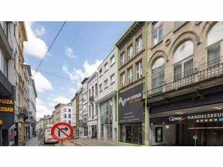 immeuble avec espace commercial et habitation près du meir