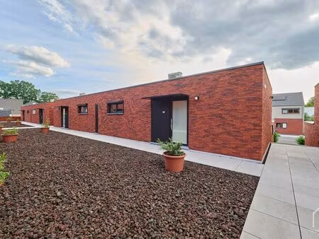 maison à vendre à hamont € 439.000 (lozv8) - vastgoed coenjaerts | zimmo