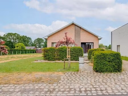 maison à vendre à eindhout € 549.000 (loypw) - bolt immo antwerpen | zimmo