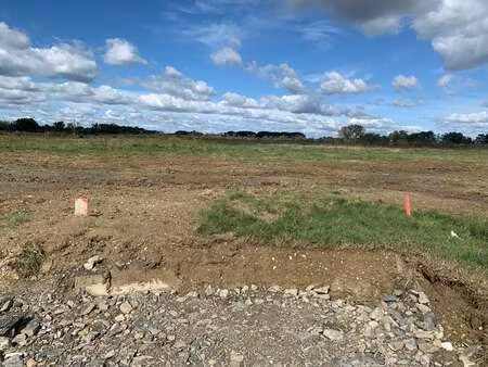 vente terrain à givrand (85800) : à vendre / 331m² givrand