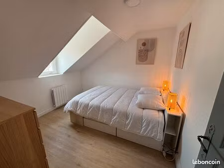 joli t2/t3 rénové en plein centre ville de vichy ne cherchez plus