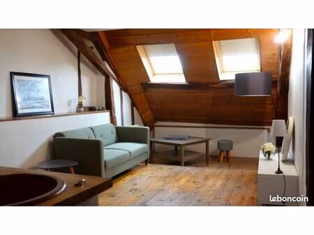 appartement hyper centre ville bourges - 1 chambre