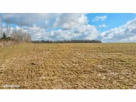 terrain agricole plagnole 5071m2