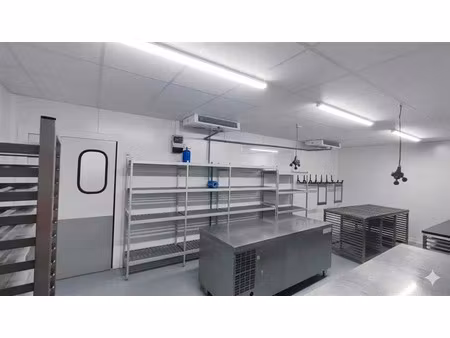 location local d'activités canejan 600 m²