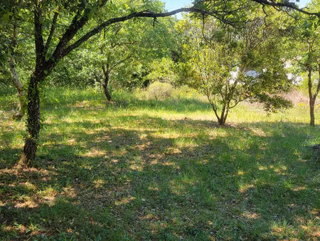 achat terrain 1 500m²