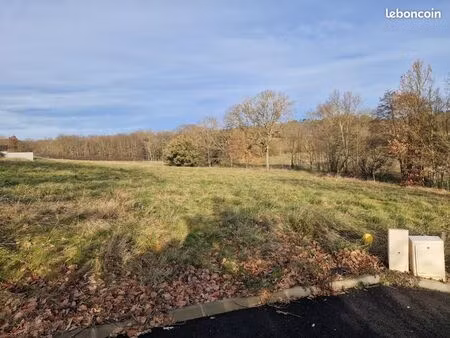 forêt 600 m² pujaudran