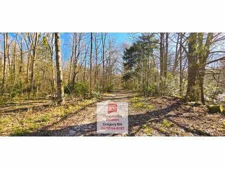 domaine forestier 9 6 hectares
