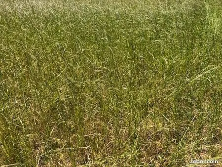 terrain 638 m² dirinon