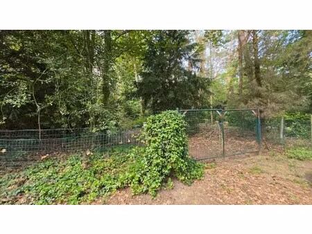 rustig gelegen perceel bosgrond van 4.056 m² in groene omgeving te tremelo