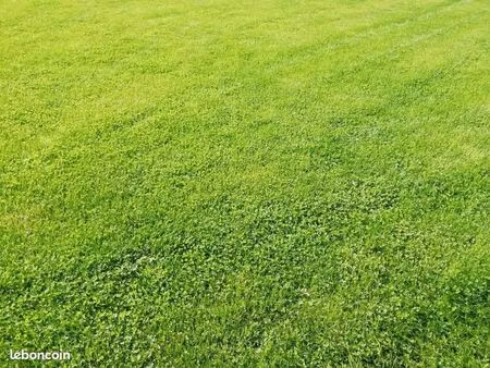 terrain 665 m² lamballe armor