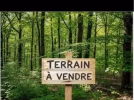 terrain 10000m
