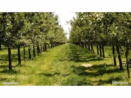 terres en vergers bio en rendement sur 5 ha