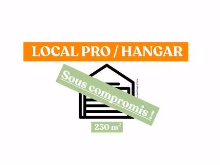 achat maison 1 pièce 230m² merlevenez 56700