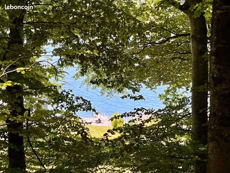 terrain de loisirs boisé avec vue sur le lac de pareloup