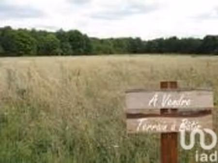 vente terrain à bâtir 985 m²