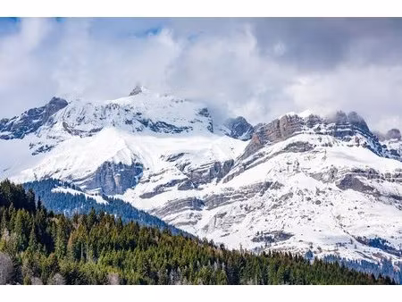chalet d'exception entre clairière et horizon