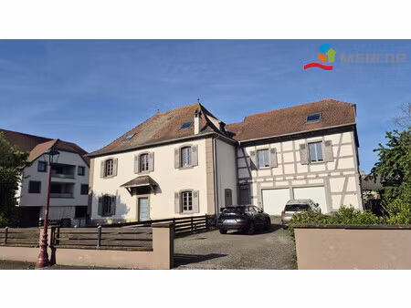 location local professionnel 166m² holtzheim 67810